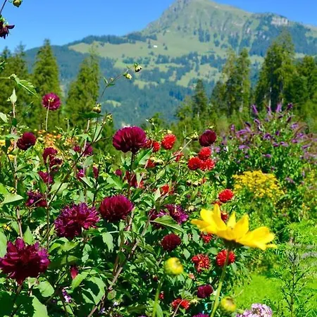 Barbara アパート *