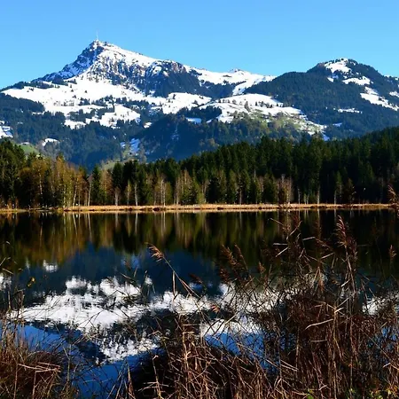 Barbara Daire Kitzbühel