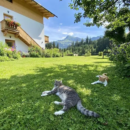 アパート Barbara *