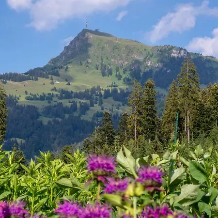 Appartamento Barbara *