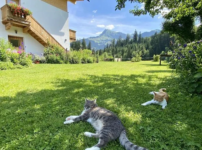 Appartamento Barbara *