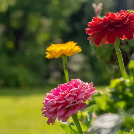 Barbara شقة كيتزبوهيل